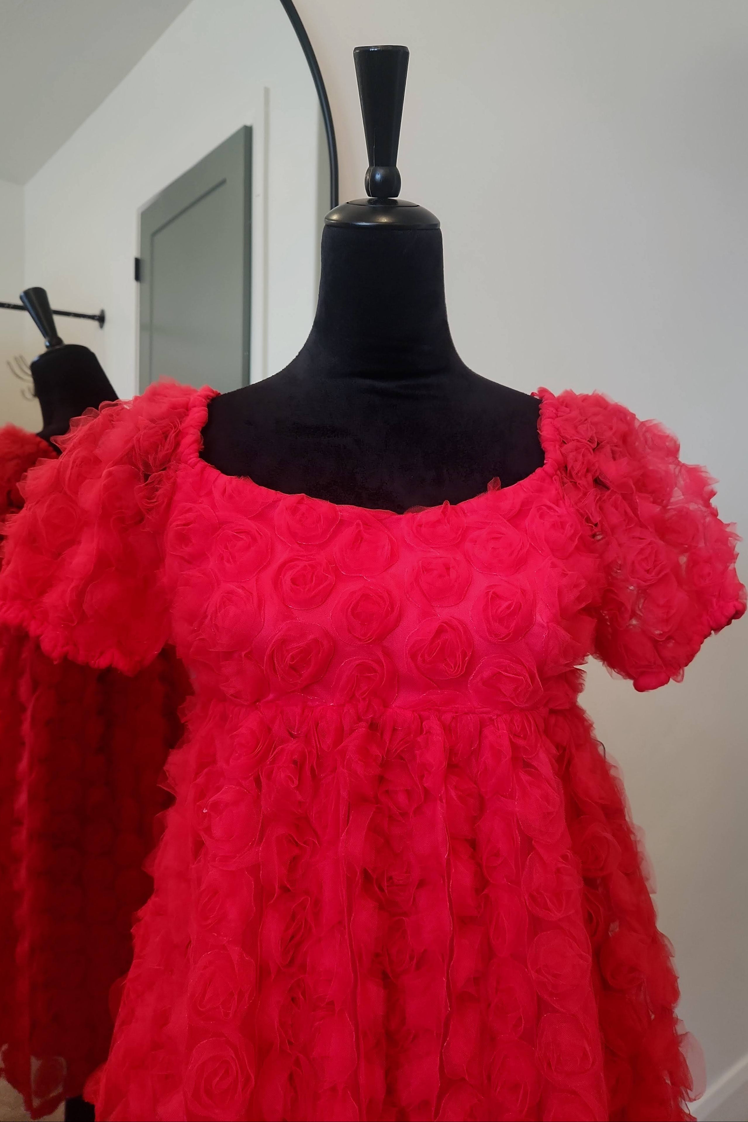 Red Floral Embroidery Puff Sleeve Babydoll Dress