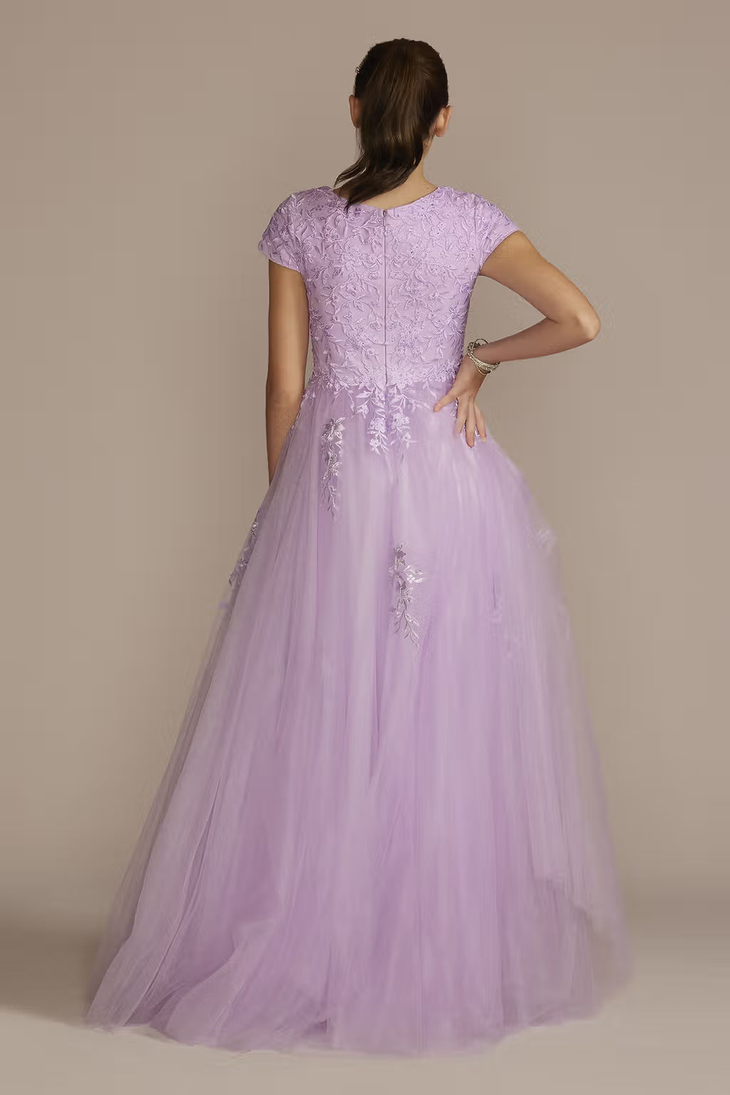 Cap Sleeve Embroidered Lace Tulle Ball Gown