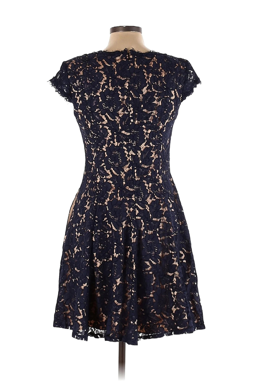 Eliza J Black Fit & Flare Lace Dress