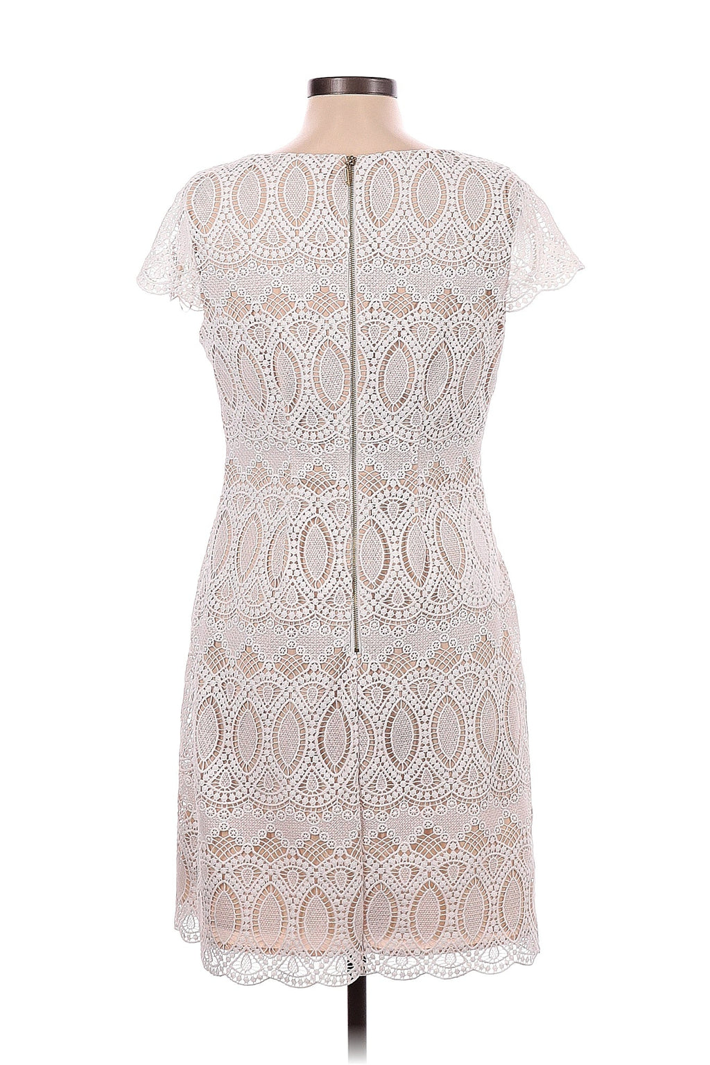 Eliza J Off White Lace Cap Sleeve Dress