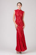 Mermaid Lace Dress