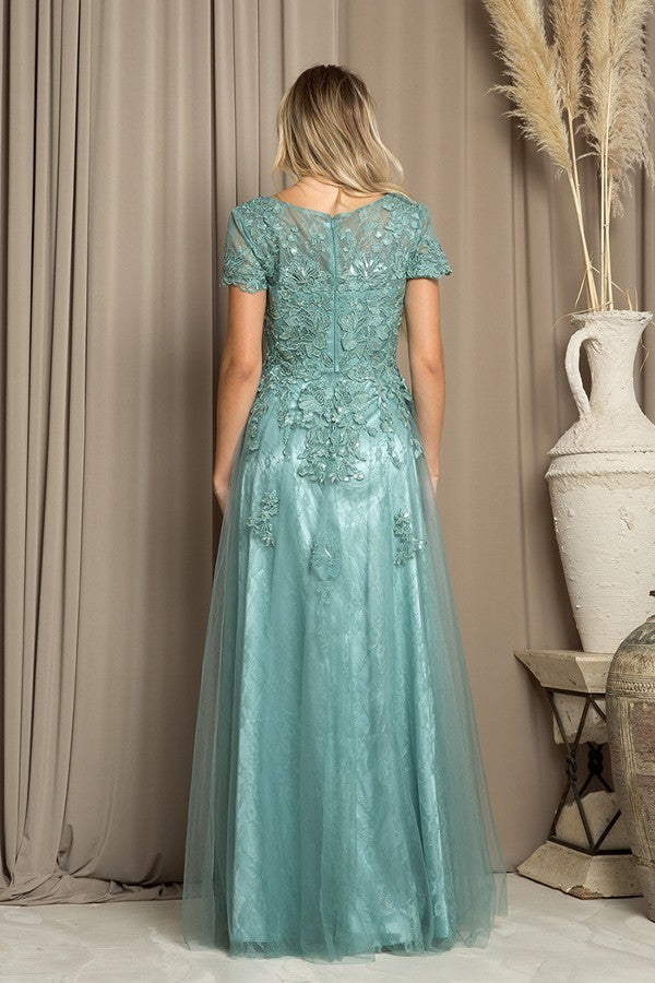 Short Sleeve Tulle and Lace Gown