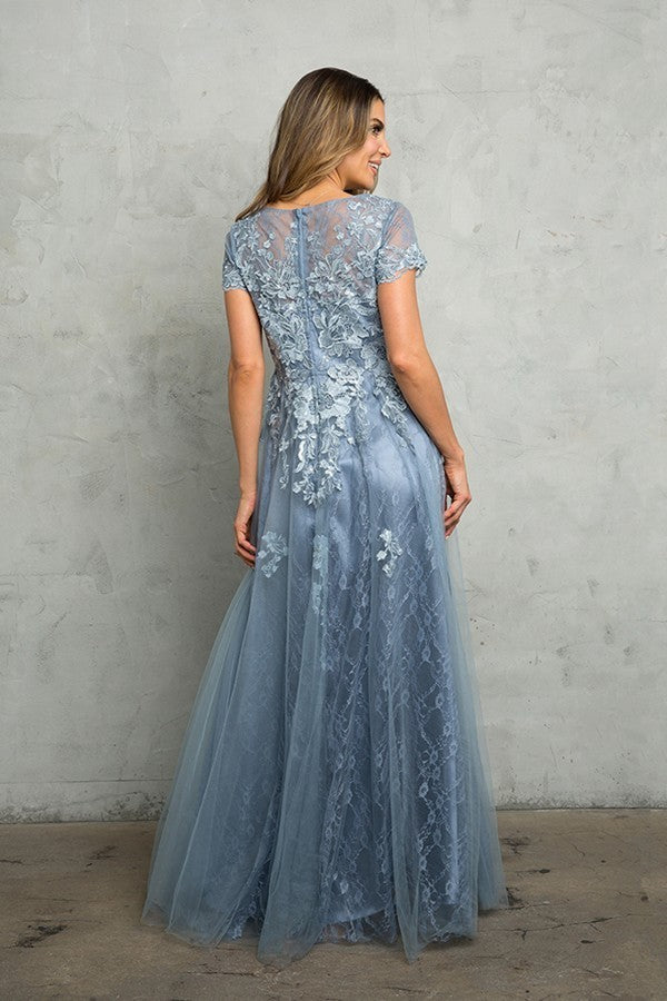 Short Sleeve Tulle and Lace Gown