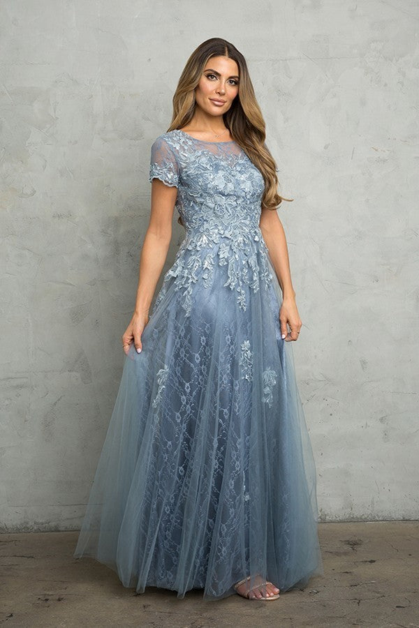 Short Sleeve Tulle and Lace Gown