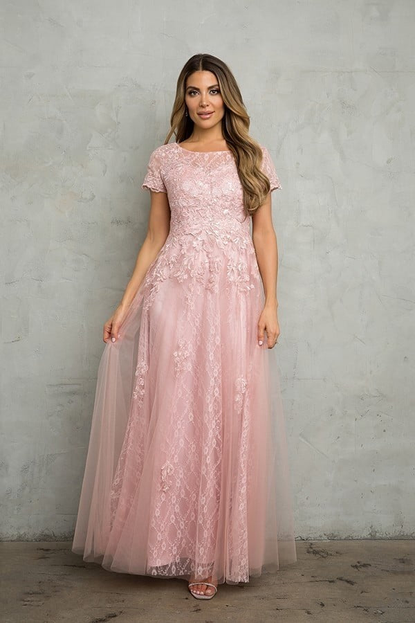 Short Sleeve Tulle and Lace Gown