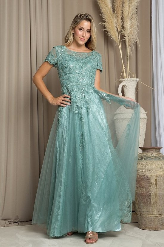 Short Sleeve Tulle and Lace Gown