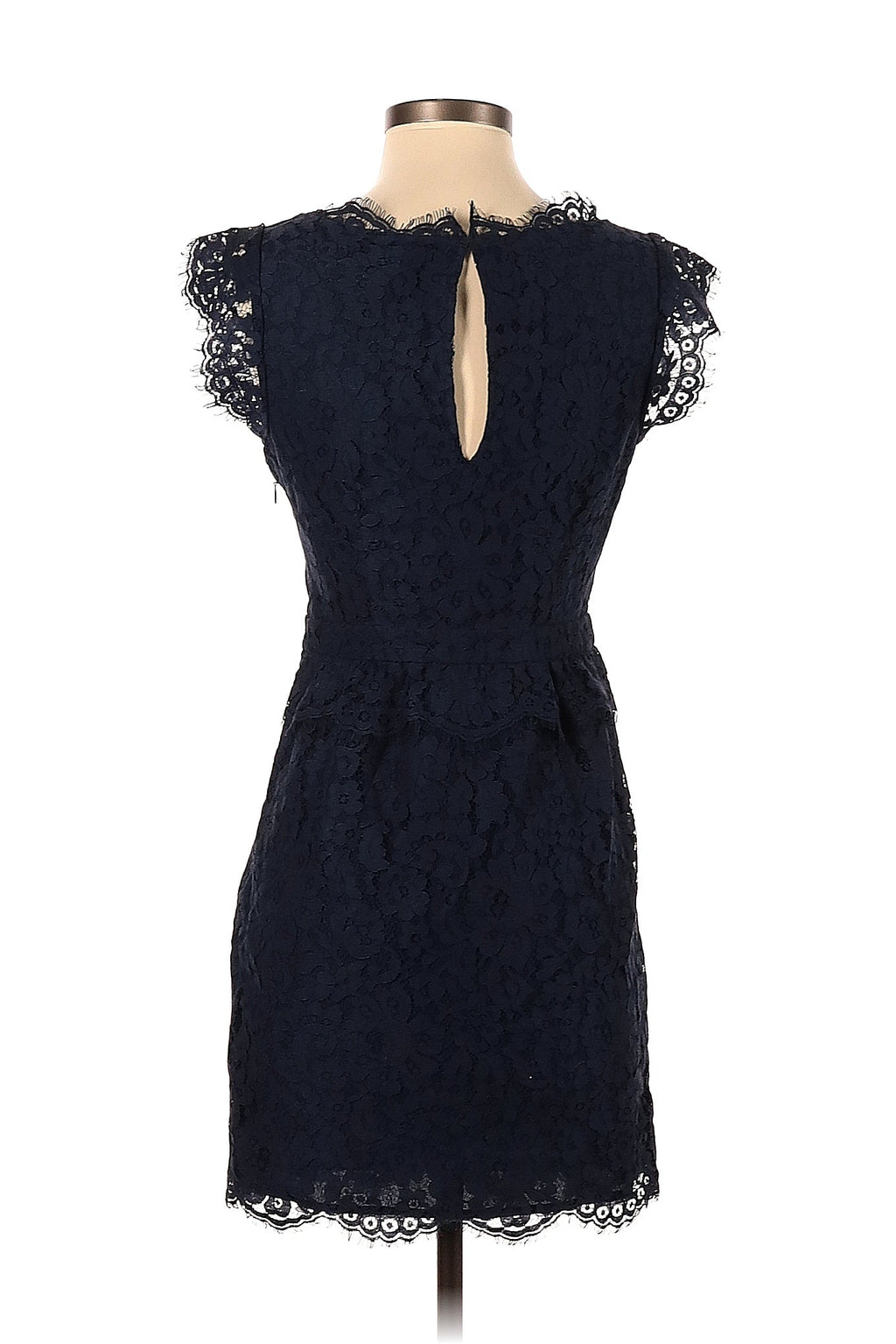 Joie Lace Dress